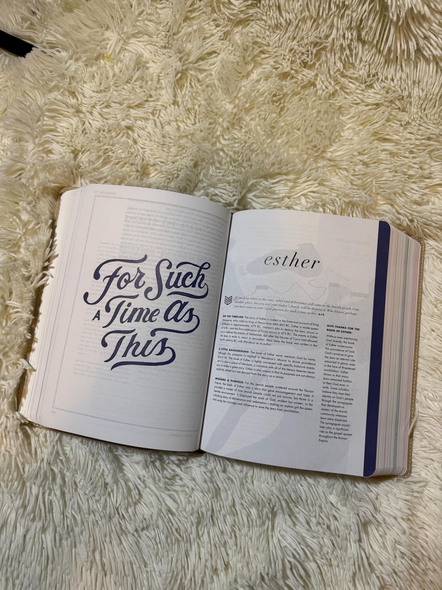 She Reads Truth Christian Standard Version Journaling Bible | Leather Cover