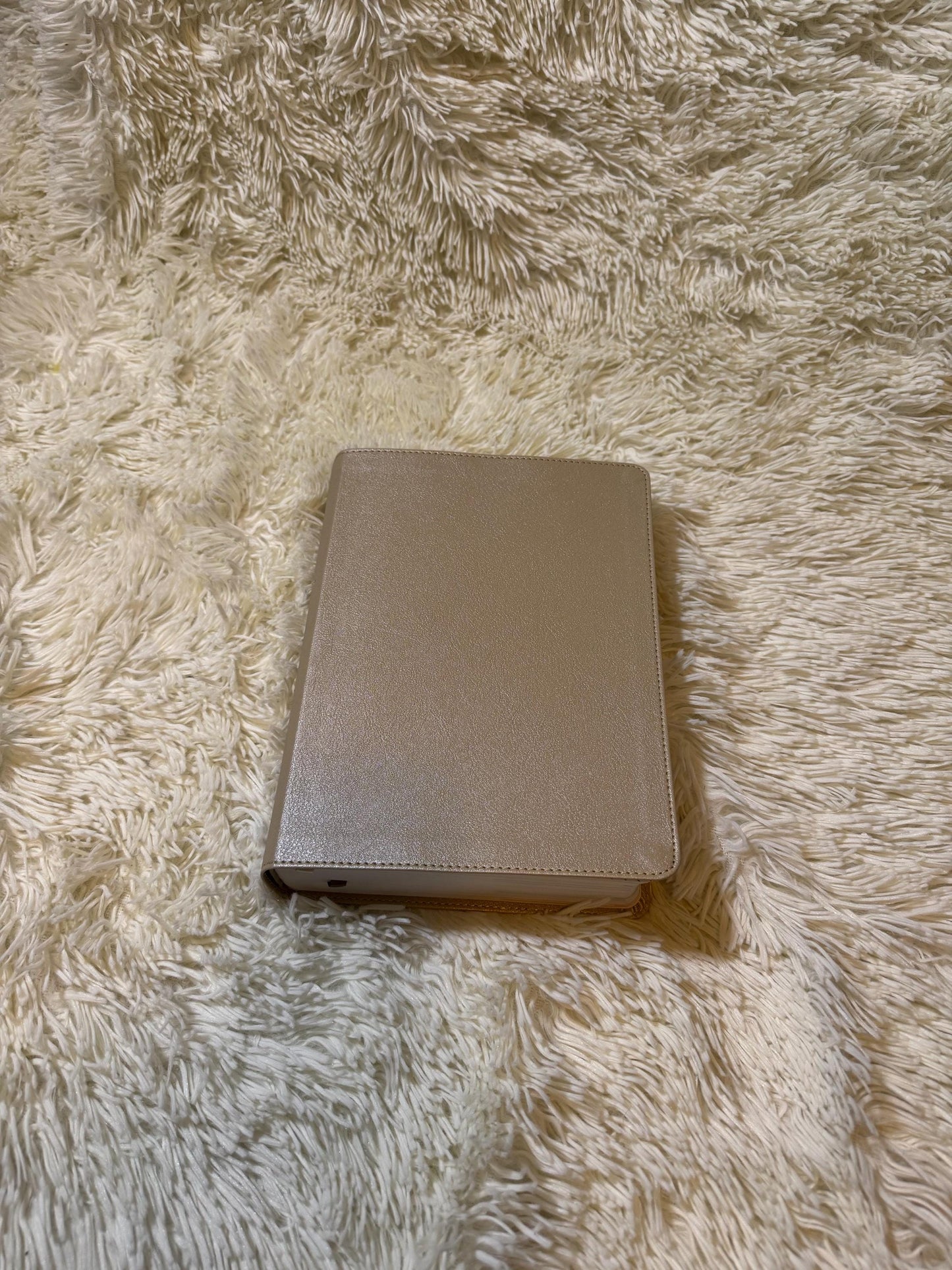 She Reads Truth Christian Standard Version Journaling Bible | Leather Cover