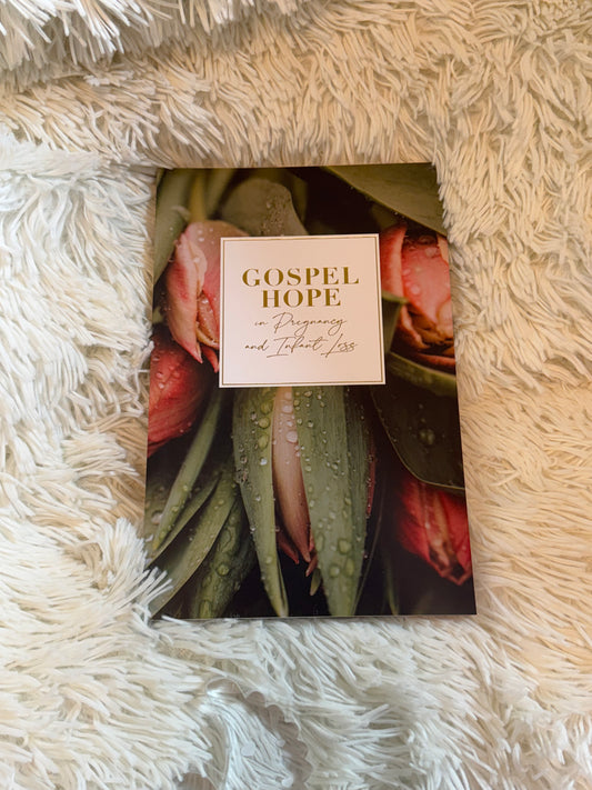 Gospel hope in pregnancy and infant loss book