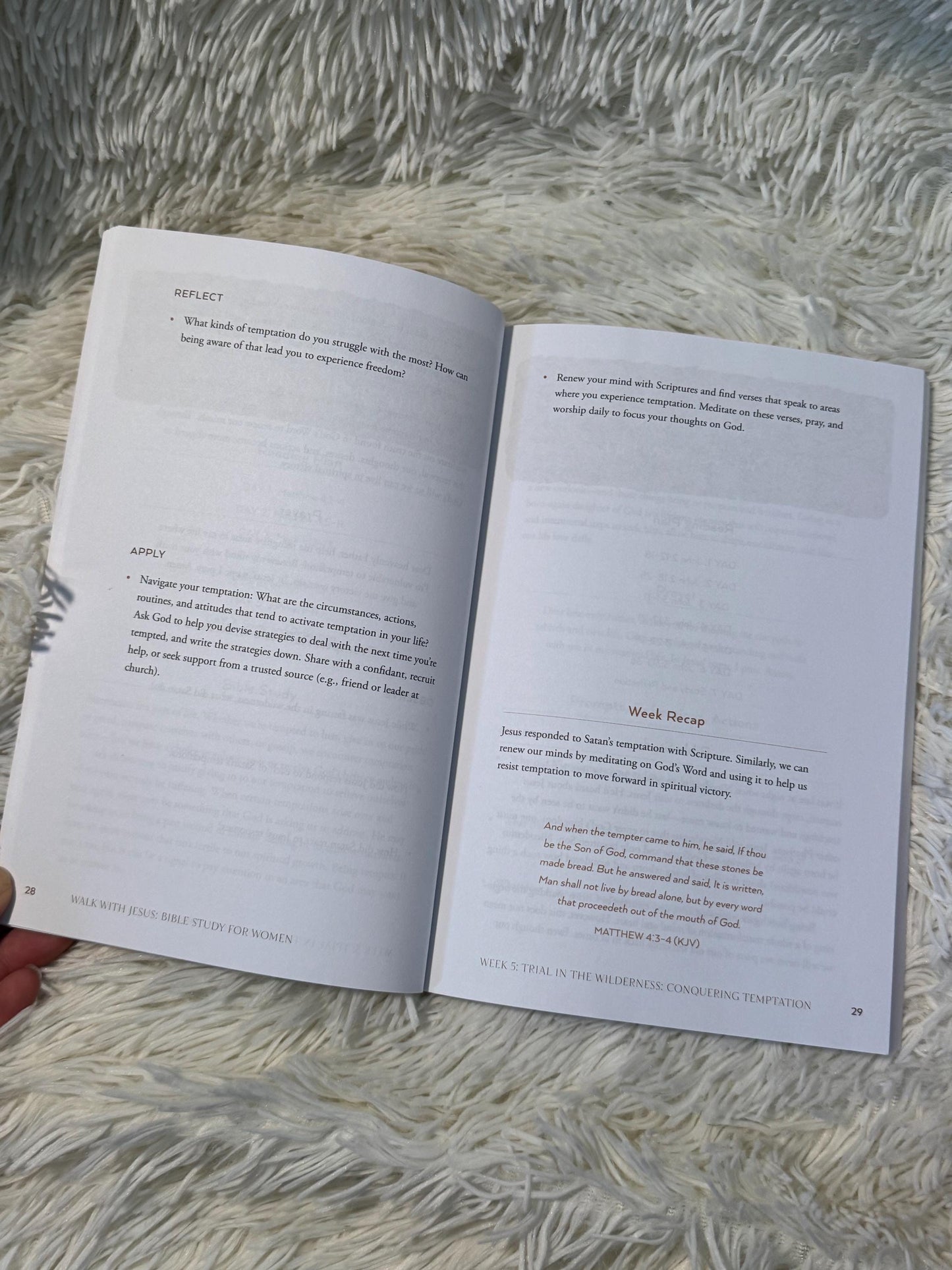 Walk With Jesus 365 day Bible Study for Women