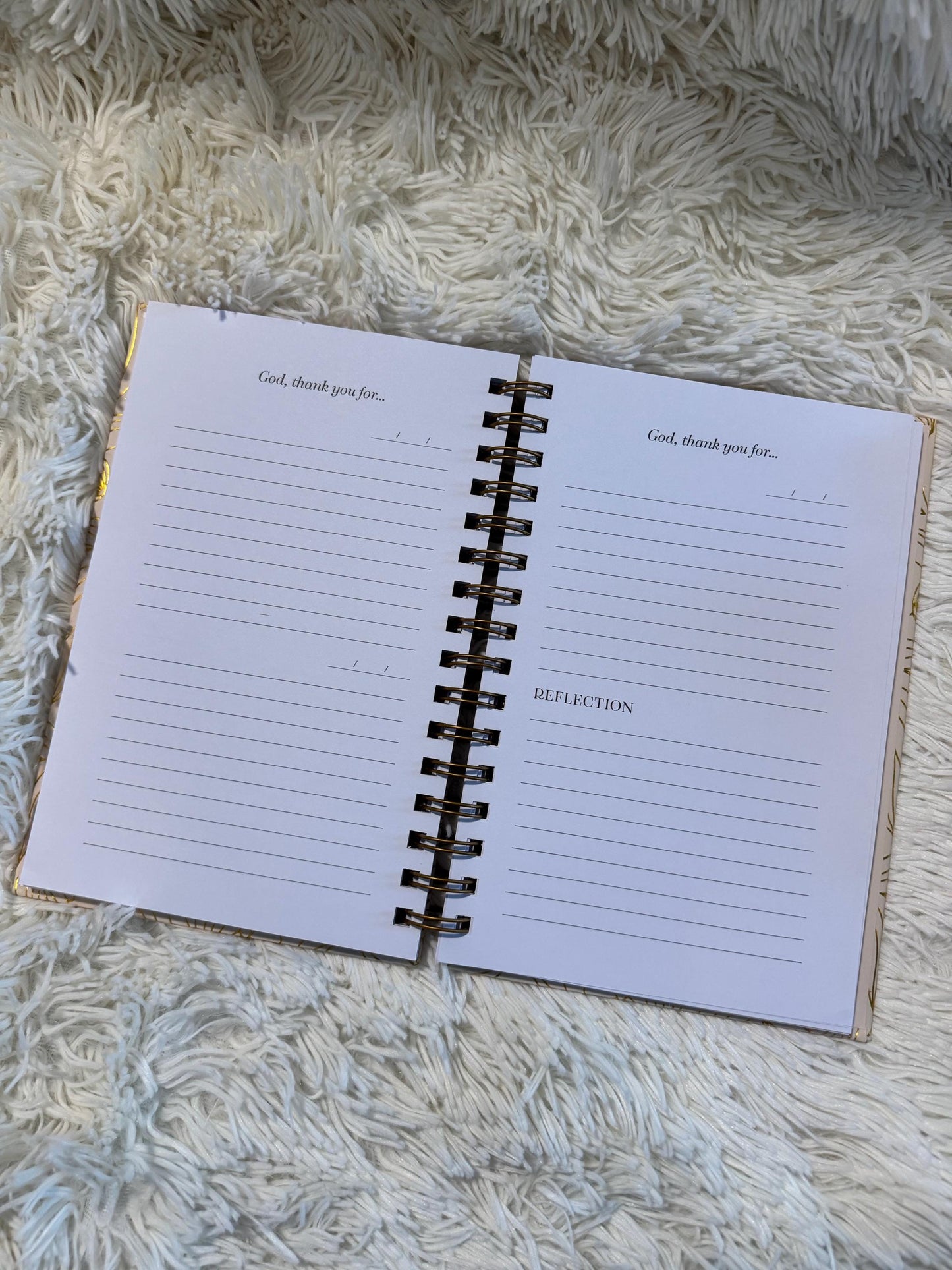 365 day Gratitude Journal