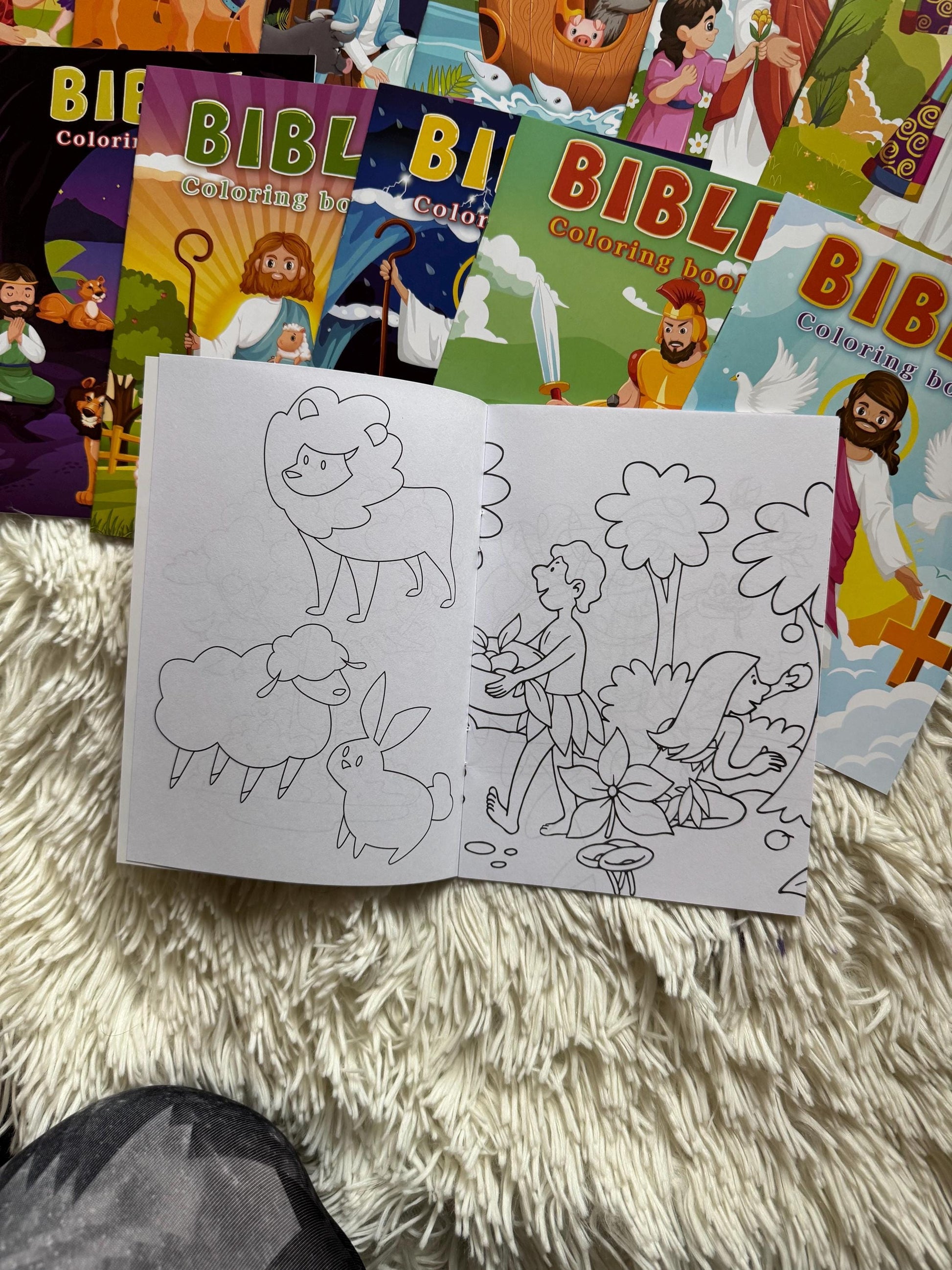 Bible Story Coloring book