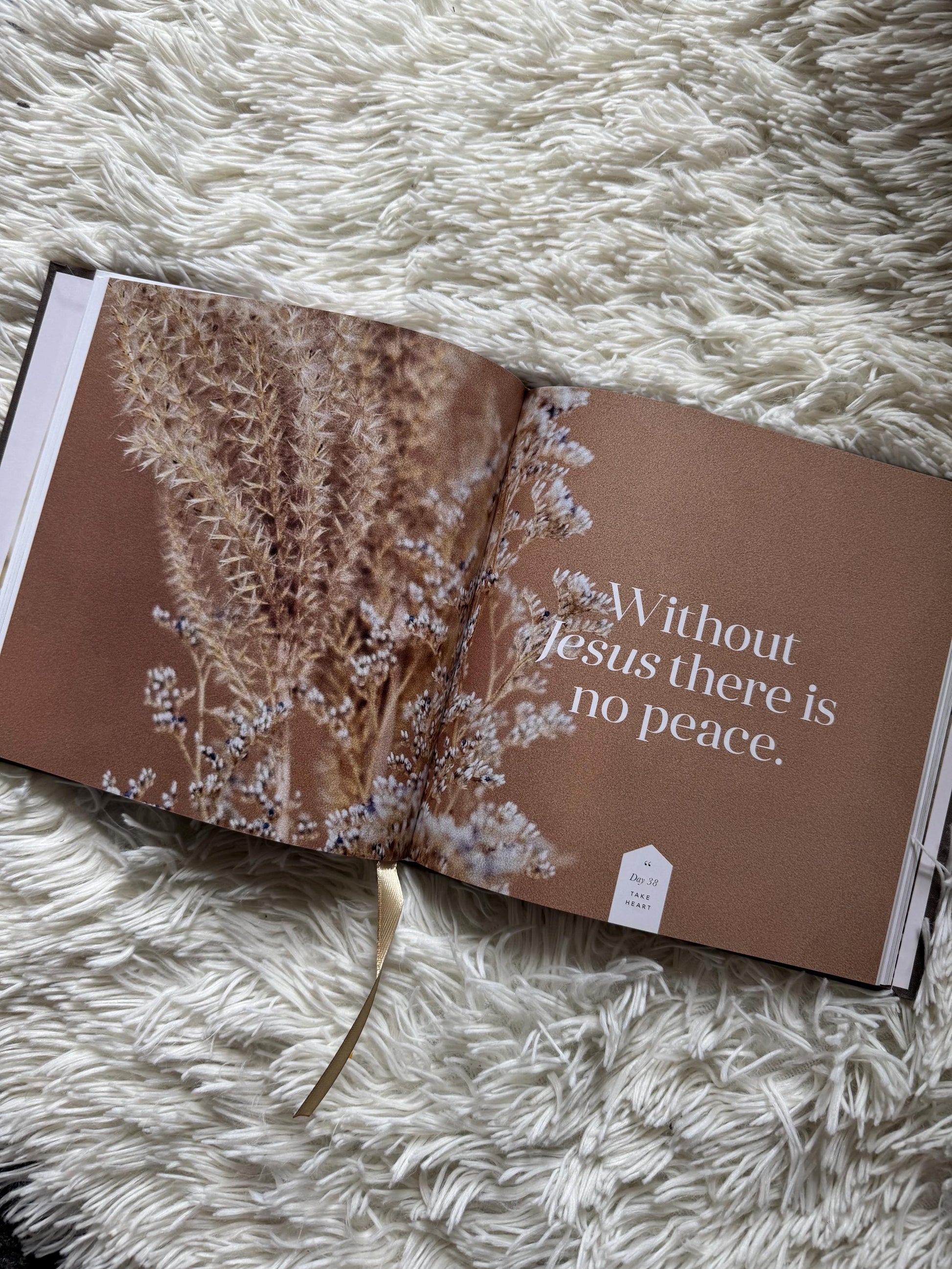 Take Heart - 90 day devotional